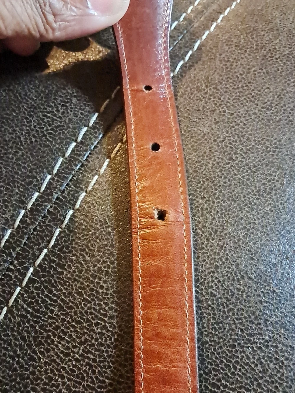 Douglas Magnus Genuine American Alligator Leather Belt Made in USA